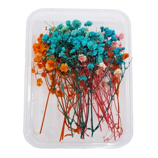 A-ONE 匯旺乾燥花 A24 永生滿天星 Set 3, 3色混搭