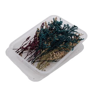 A-ONE 匯旺 乾燥花 Set 3盒 永生情人草 A20 3色混搭