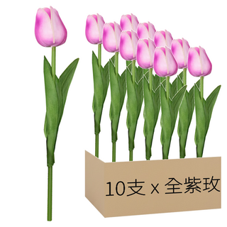 仿真鬱金香 34cm 12g, 全紫玫, 10支