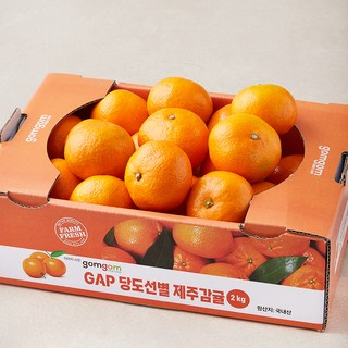 곰곰 GAP 당도선별 감귤, 2kg(로얄과), 1박스