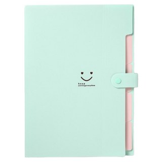 Aster 5格風琴文件整理夾, 1個, 薄荷