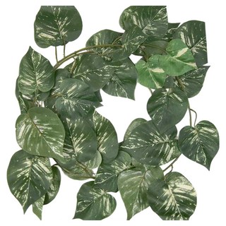 Meric Garden 仿真白斑黃金葛藤, 1個