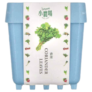 台灣 iPlant 積木農場盆栽, 香菜, 12 x 12 x 13.5cm