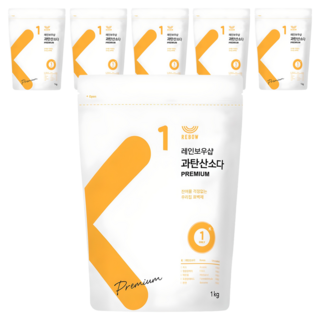 레인보우샵 과탄산소다 프리미엄, 1kg, 6개