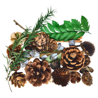 A ONE 乾燥花 B12 2盒,綜合乾果盒G