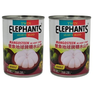 TWIN ELEPHANTS 雙象地球牌 山竹, 565g, 2罐