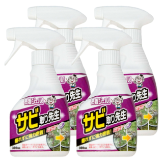 COGIT 除垢博士 鐵鏽清潔噴霧 300ml, 4瓶