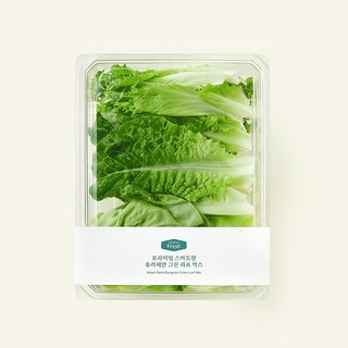 프리미엄 스마트팜 유러피안 그린 리프 믹스, 200g, 1개