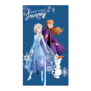 FROZEN 冰雪奇緣 傢飾對開式門簾 100%聚酯纖維 台灣製