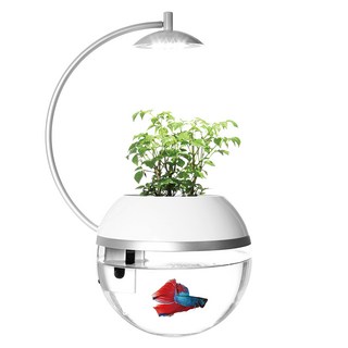 ARKY 香草與魚X智能版Herb&Fish X Connect水族箱, 1個