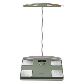 인바디 다이얼, H40NWi, 그린, 1개