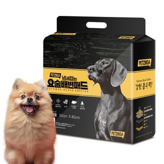 페츠모아 냄새잡는 요술배변패드 표준형 레몬향, 100개입, 1개