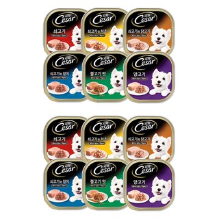 시저 1세 이상 강아지 버라이어티팩 습식사료