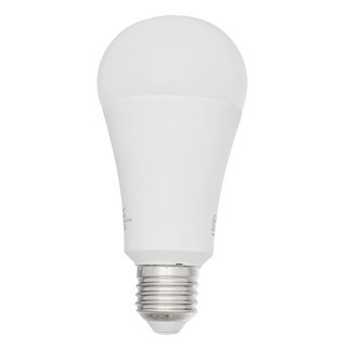 EVERLIGHT 億光 LED 球泡燈 15W 全電壓 E27 白光 環保節能標章, 1個