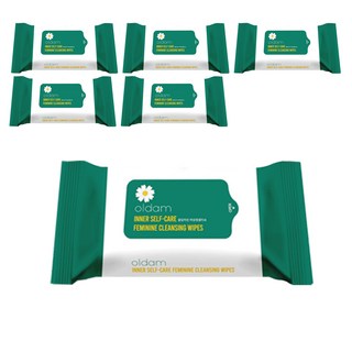OLDam 女性私密護理濕巾 - 便攜式, 60g, 20張, 6包