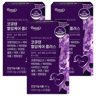 퍼니트 코큐텐 혈압케어 플러스, 60정, 30g, 3개