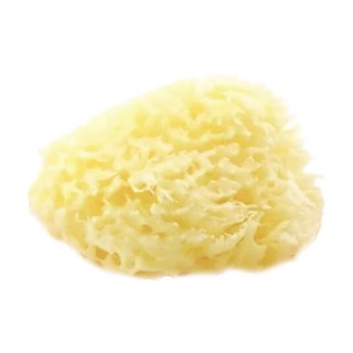 nIZio 希臘天然絲綢海棉 中大型, 黃色, 1個