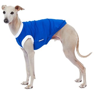 럭키페터 강아지 컬러링거 민소매 티셔츠, 블루 + 화이트, 1개