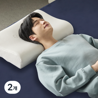 프로텍트어베드 알러씰 텐셀 메모리폼 베개, 화이트, 2개