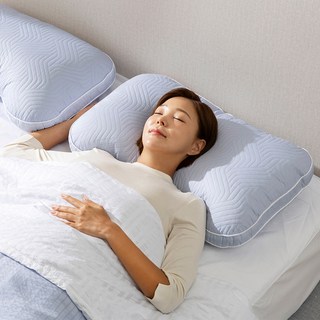 기절베개 기능성 알러지케어 일체형 퍼펙트 어깨편한 베개, 블루그레이, 2개