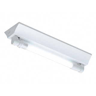 TOA 東亞照明 T8 山型燈具 1尺單管 含管, 晝光色, 1盒