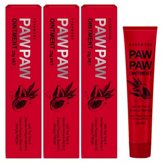 SINI CARE 詩妮克爾 番木瓜籽油膏, 25g, 3條