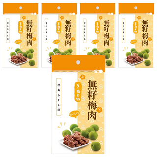 手摘果物 無籽梅肉, 18g, 5包
