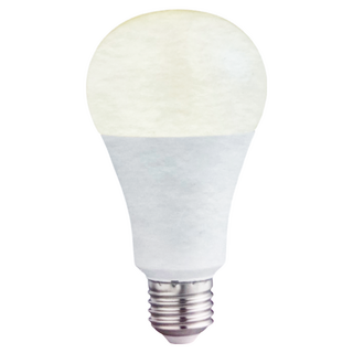 億光 EVERLIGHT LED球泡燈 10W 黃光 節能省電, 1個