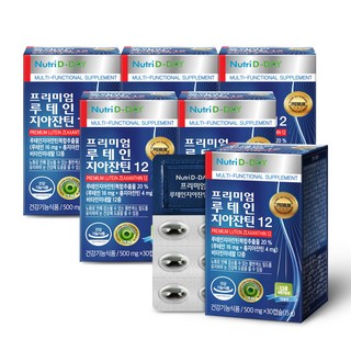 뉴트리디데이 프리미엄 루테인 지아잔틴12, 30정, 6개