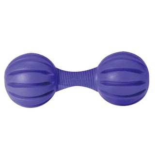 PetSafe 普立爾 狗仔很忙智遊玩具系列 狗仔啞鈴 益智玩具, 紫色, 1個