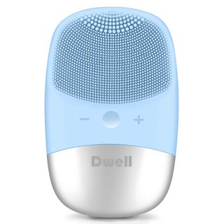 포레오 클렌징기