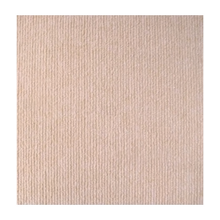 吸附式防滑拚接地墊 10入 米色, 30 x 30 x 0.4cm, 駝白色, 1組