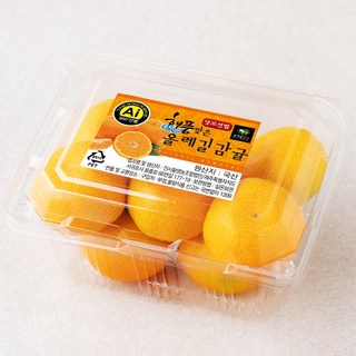 올레길 AI 당도선별 11brix 감귤, 500g, 1개