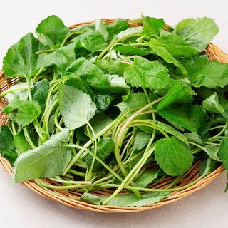국내산 산취나물, 150g, 1개