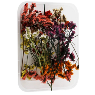 A-ONE 匯旺 乾燥花 3盒入 永生水晶草, 三色混搭