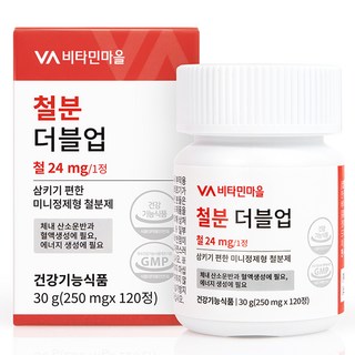 Vitamin Village Double up鐵補充碇, 120顆, 1罐