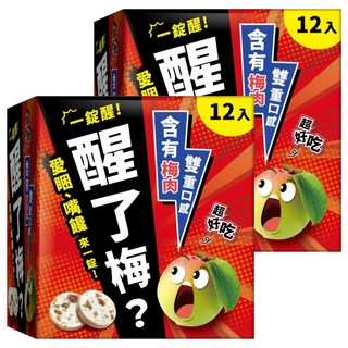 醒了梅 梅子錠, 15g, 24包