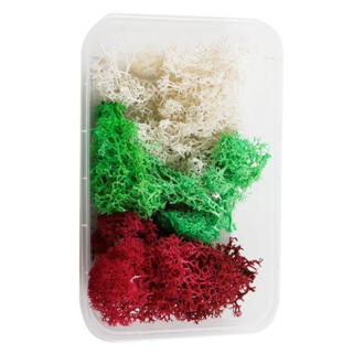 A-ONE 匯旺乾燥花 A19 Set, 白色 + 綠色 + 紅色