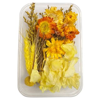 A-ONE 匯旺 天然乾燥花 Set 2個, 17 x 11.5 x 3.3 CM, 光耀秋日