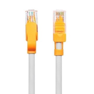 PowerSync 包爾星克 群加 CAT.5e 抗搖擺耐折彎網路線, 1m, 灰色 + 貝吉色, 1條