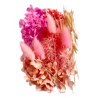 A-ONE 匯旺乾燥花 B09粉玫子 3入, 粉妝玉砌