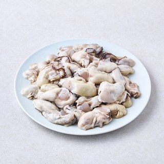 갯마을 남해안 가열조리용 봉지굴 (냉장), 480g, 1개