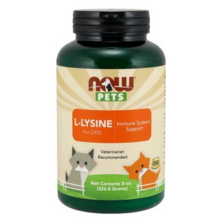 NOW Foods 寵物貓用 離胺酸粉, 1罐, 維持抵抗力