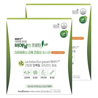 비에날씬 BNR17 프로틴 업 유산균, 400g, 2개