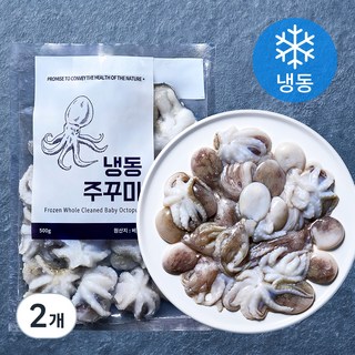 바이오션 주꾸미 (냉동), 500g(20~25마리), 2개