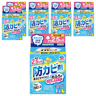 EARTH 地球製藥 衛浴防霉煙霧劑 持久防霉效果可達2.5個月 清新皂香, 170g, 6盒