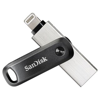 SanDisk 晟碟 iXpand Go 雙用隨身碟 iPhone and iPad適用, 256GB, 1個