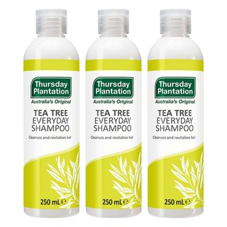 Thursday Plantation 茶樹原味去屑洗髮精, 250ml, 3瓶