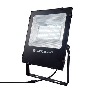 DANCELIGHT 舞光 LED 亞瑟泛光燈 100W 白光, 1個