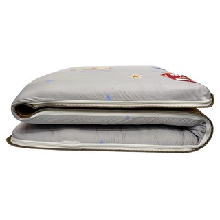 Mexsmon 美思夢 冬夏兩用青白折疊床墊